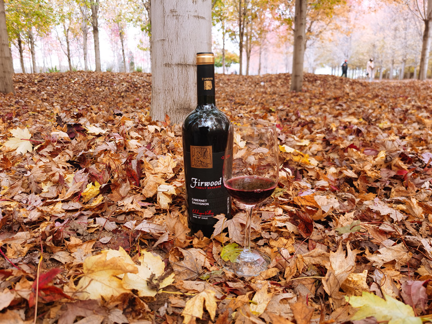 枞木红酒知识分享 | 常见的六大葡萄品种