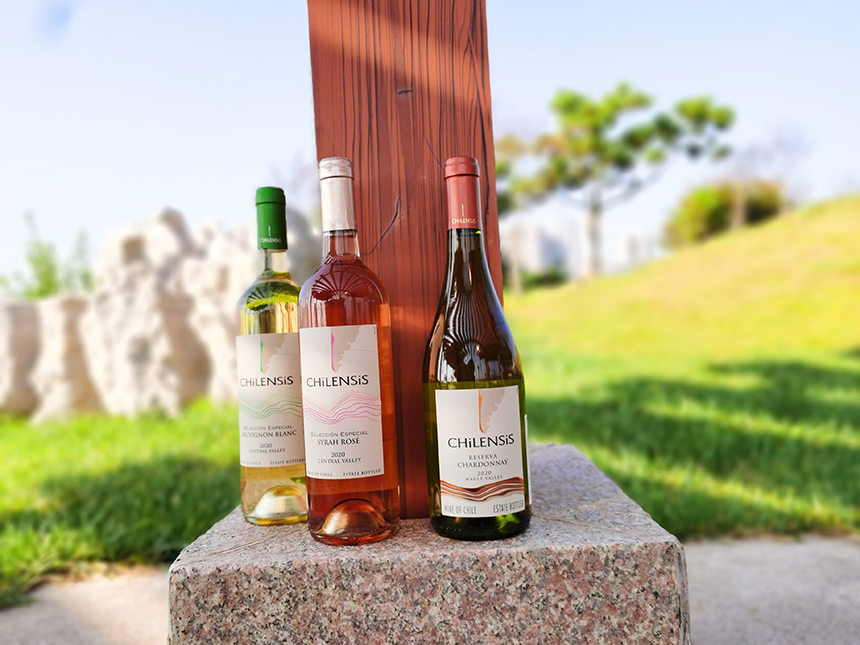枞木国际酒庄丨 充满梦幻色彩的桃红葡萄酒