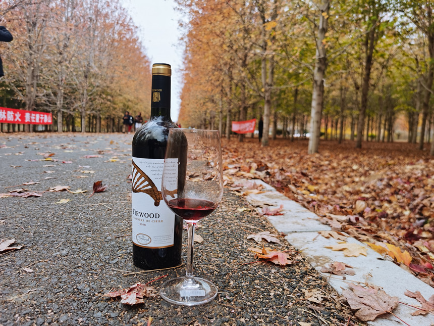 枞木国际酒庄丨聊聊葡萄酒的余味