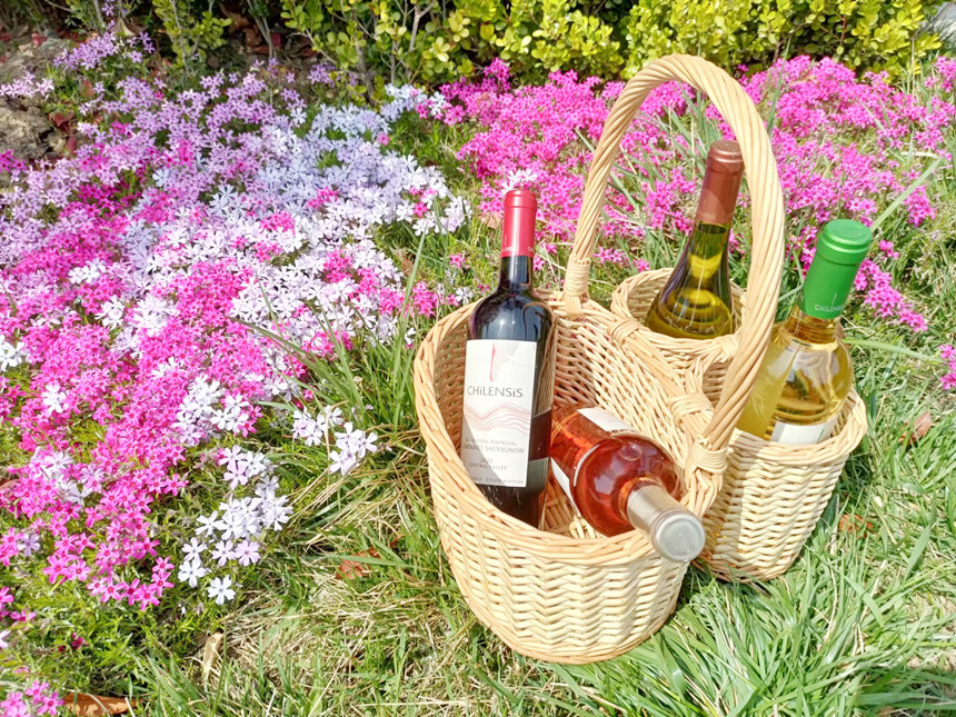 枞木国际酒庄丨多少粒葡萄可以酿制成一瓶葡萄酒呢