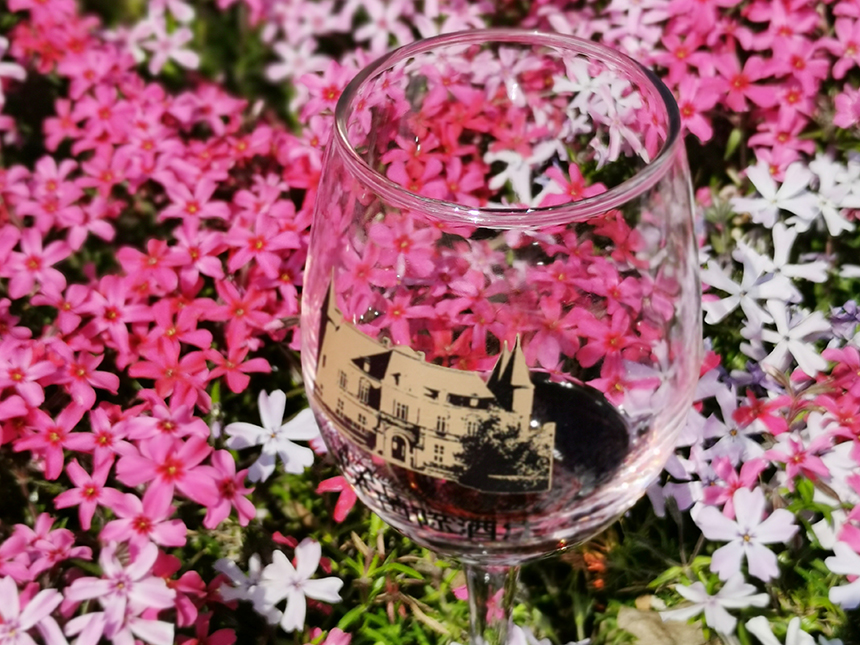 枞木红酒知识 | 葡萄酒常见的几种花香